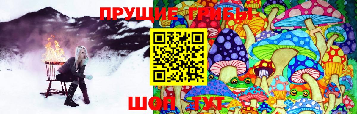 купить   Псилоцибиновые грибы Psilocybine cubensis  Вход с VPN  Фурманов 